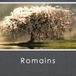Romans pic.004